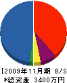 セントラル設備 貸借対照表 2009年11月期