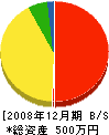 矢澤工務店 貸借対照表 2008年12月期