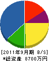 ネオ新栄電設 貸借対照表 2011年9月期