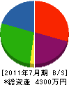 ひかり電工 貸借対照表 2011年7月期