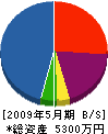 昇栄木材建設 貸借対照表 2009年5月期