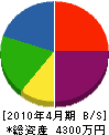 石川工務店 貸借対照表 2010年4月期