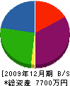 フルタ電気 貸借対照表 2009年12月期