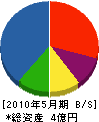 木村組 貸借対照表 2010年5月期