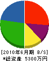 濱村組 貸借対照表 2010年6月期
