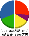 石井建材店 貸借対照表 2011年3月期
