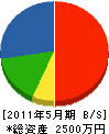田部井設備 貸借対照表 2011年5月期