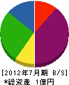 國＊組 貸借対照表 2012年7月期