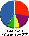 横山電気 貸借対照表 2010年6月期