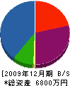 飯島設備 貸借対照表 2009年12月期
