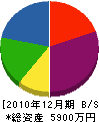 武藤建設 貸借対照表 2010年12月期