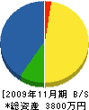今井唯電工 貸借対照表 2009年11月期 今井唯電工 貸借対照表 2009年11月期