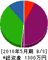 大井川電工 貸借対照表 2010年5月期