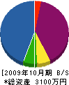 セイジョウ 貸借対照表 2009年10月期
