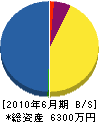 姉川建設 貸借対照表 2010年6月期