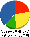 井元建設 貸借対照表 2012年6月期