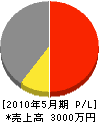 江口建設 損益計算書 2010年5月期