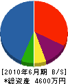 アセント 貸借対照表 2010年6月期