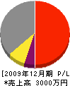 風間工務店 損益計算書 2009年12月期 風間工務店 損益計算書 2009年12月期