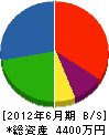 丸廣小川建築 貸借対照表 2012年6月期