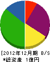 広南開発 貸借対照表 2012年12月期