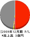 田村 損益計算書 2009年12月期