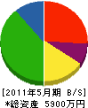 大成鉄工所 貸借対照表 2011年5月期