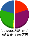藤誠塗装工業店 貸借対照表 2012年5月期