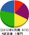 武田塗装工業 貸借対照表 2012年6月期
