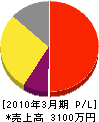 飯田産業 損益計算書 2010年3月期