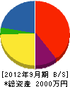 羽根総合工務 貸借対照表 2012年9月期