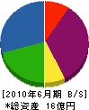 新日本建設工業 貸借対照表 2010年6月期