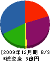 桂建設 貸借対照表 2009年12月期