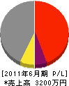 日本國土建設業（同） 損益計算書 2011年6月期