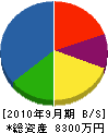 昭電設備 貸借対照表 2010年9月期 昭電設備 貸借対照表 2010年9月期