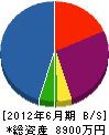 徳永工務店 貸借対照表 2012年6月期