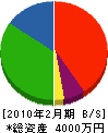 渡邉工務店 貸借対照表 2010年2月期