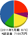 竹初建設 貸借対照表 2011年5月期