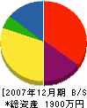 昭和電気 貸借対照表 2007年12月期