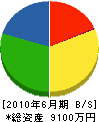 日本海電機 貸借対照表 2010年6月期