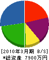 白川総合建設 貸借対照表 2010年3月期