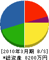 井嶋組 貸借対照表 2010年3月期