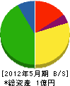 丸勇建設 貸借対照表 2012年5月期