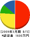 渡辺電気 貸借対照表 2009年3月期