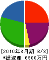 鈴木建材興業 貸借対照表 2010年3月期