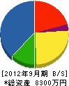 染谷工業 貸借対照表 2012年9月期