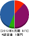 中本土木工業 貸借対照表 2012年6月期