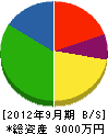 飯岡電気商会 貸借対照表 2012年9月期