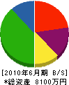 平江建設 貸借対照表 2010年6月期 平江建設 貸借対照表 2010年6月期