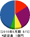広井建設 貸借対照表 2010年6月期